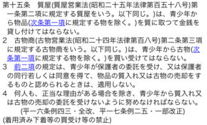 ノート:東京都青少年の健全な育成に関する条例